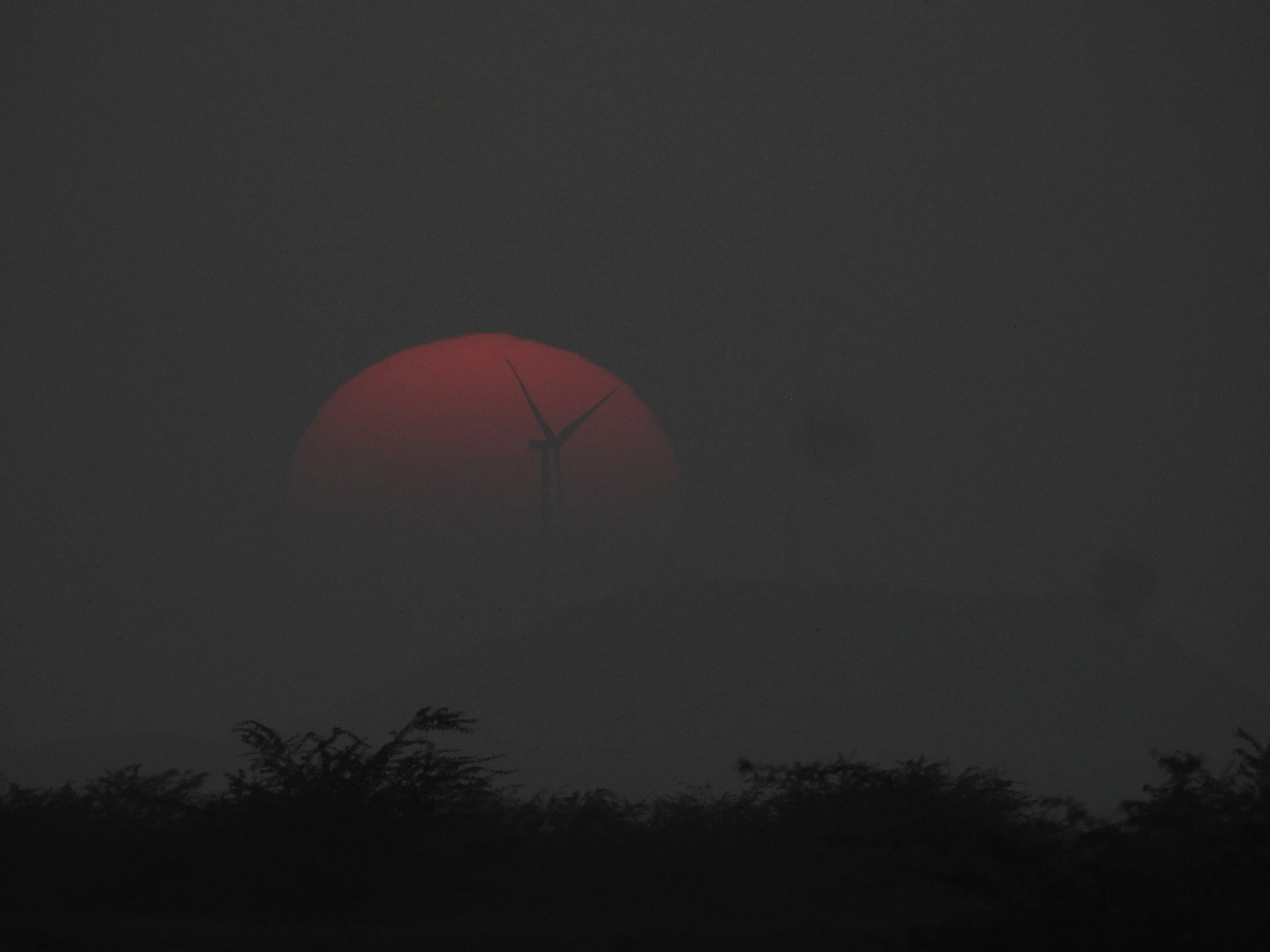 Sunset colours over the salt flats of the Rann of Kutch