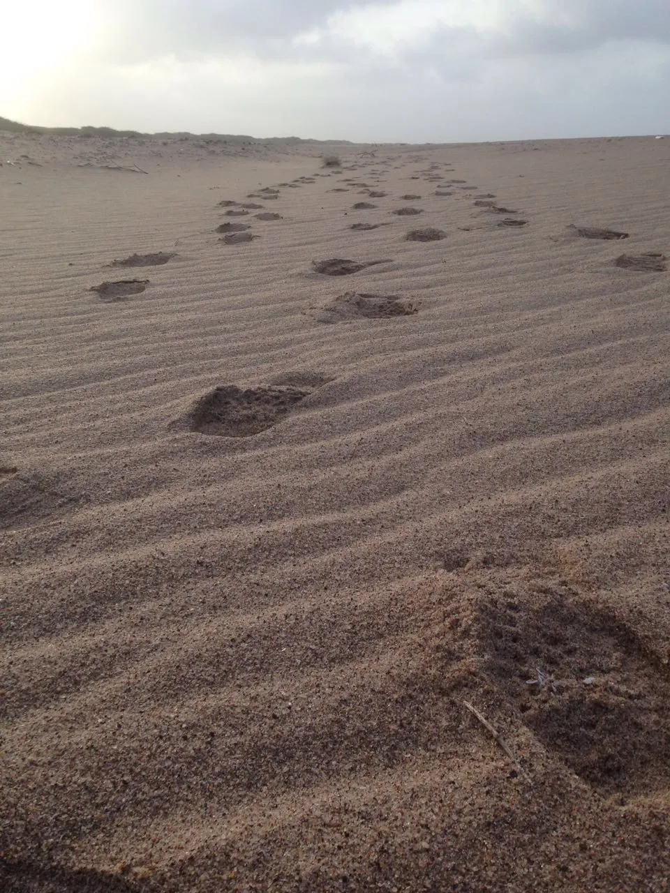 Mandvi Beach — The most favourite holiday destination in Kutch, with soft sand, clear safe waters and 500 years of shipbuilding.